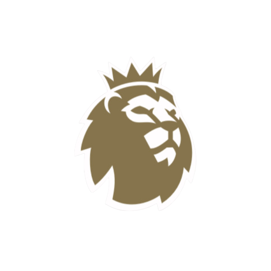 Premier League Champions Sleeve Patch