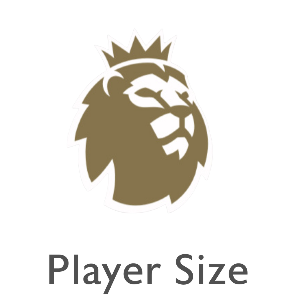 2023-26 Premier League Champions Player Size Sleeve Badge