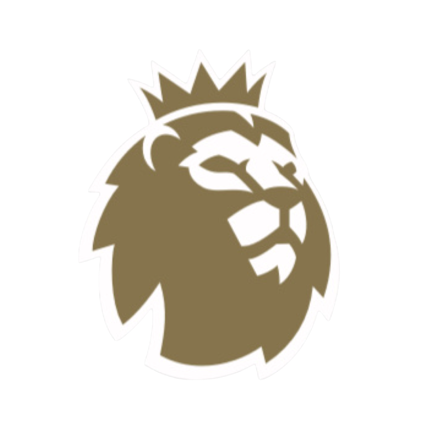 Premier League Champions Sleeve Patch