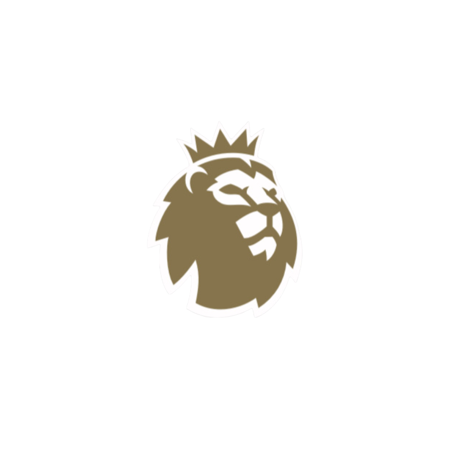 Premier League Champions Sleeve Patch